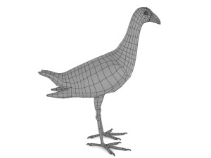 purple swamphen 3D Модель