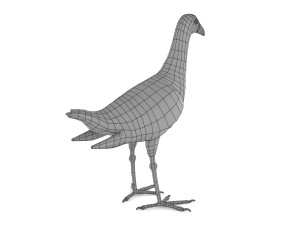 purple swamphen 3D Модель