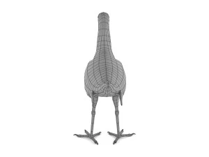 purple swamphen 3D Model
