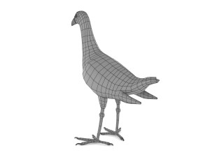 purple swamphen 3D Модель