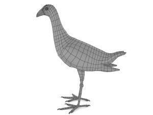 purple swamphen 3D Модель