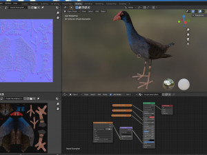 purple swamphen 3D Модель