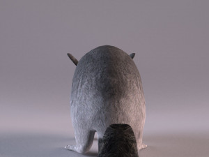 chinchilla 3D Model