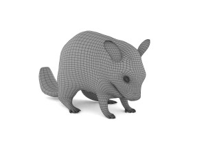 chinchilla 3D Model
