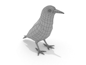 3d eurasian nutcracker model Modèle 3D