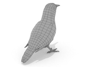 3d eurasian nutcracker model Modèle 3D
