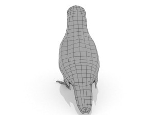 3d eurasian nutcracker model Modèle 3D