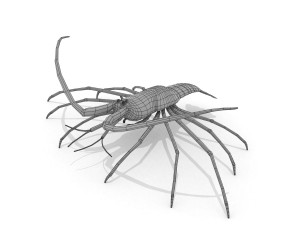 3d langouste 3D 모델