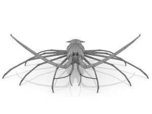 3d langouste 3D 모델
