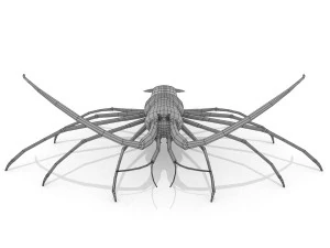 3d langouste 3D Model