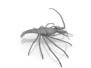 3d langouste 3D 모델