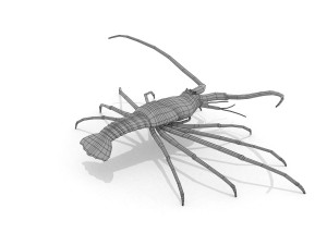 3d langouste 3D 모델