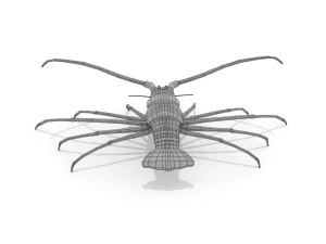 3d langouste 3D Model