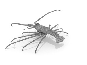 3d langouste 3D 모델