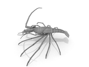 3d langouste 3D 모델