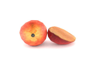 3d mango 3D 模型