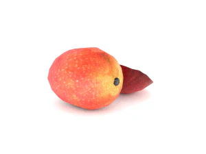 3d mango 3D Model