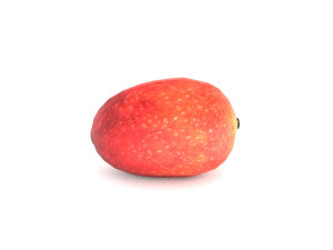 3d mango 3D 模型