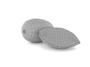 3d mango 3D Model