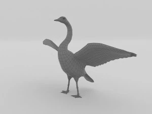 whooper swan cygnus cygnus 3D Model