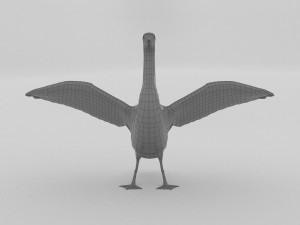 whooper swan cygnus cygnus Modèle 3D