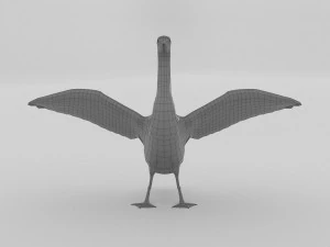 whooper swan cygnus cygnus 3D Model