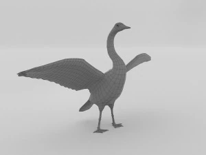 whooper swan cygnus cygnus 3D Model