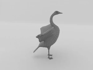 whooper swan cygnus cygnus 3D Model