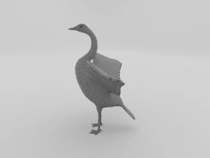 whooper swan cygnus cygnus 3D Model