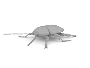 ten-spotted pot beetle 3D Model
