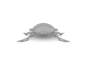 ten-spotted pot beetle 3D 모델