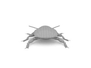 ten-spotted pot beetle 3D Model