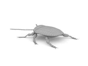 ten-spotted pot beetle 3D 모델