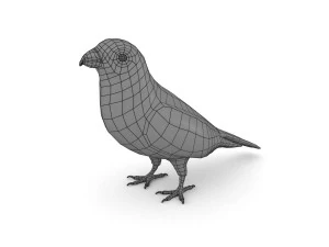 pine grosbeak pinicola enucleator 3D Model
