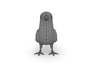 pine grosbeak pinicola enucleator 3D 모델