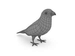 pine grosbeak pinicola enucleator 3D 모델