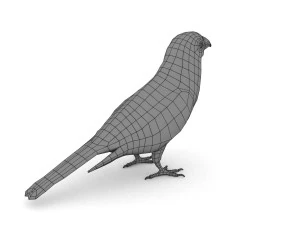 pine grosbeak pinicola enucleator 3D Model
