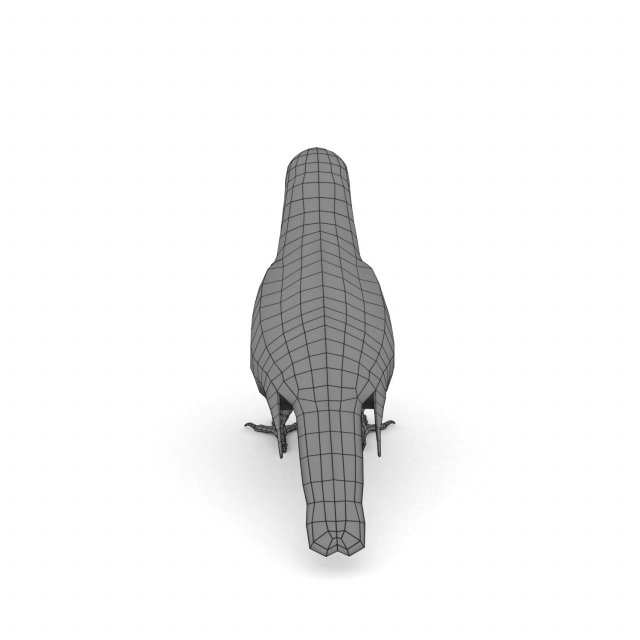 Download pine grosbeak pinicola enucleator 3D Model