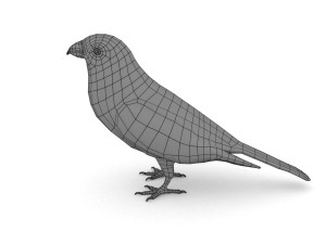 pine grosbeak pinicola enucleator 3D 모델