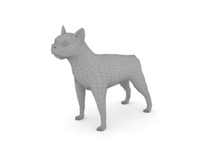 boston terrier 3D Model
