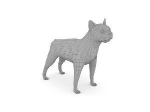 boston terrier 3D Model