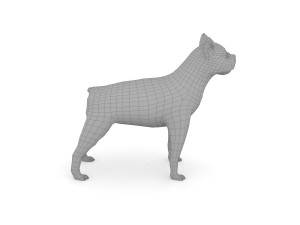 boston terrier 3D Model