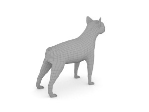 boston terrier 3D Model