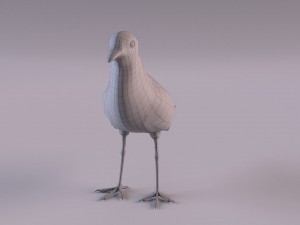 banded lapwing vanellus tricolor Model 3D