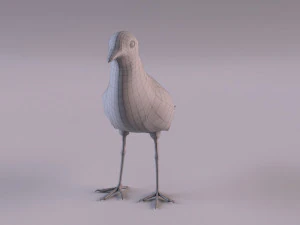 banded lapwing vanellus tricolor 3D Model