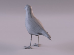 banded lapwing vanellus tricolor Model 3D