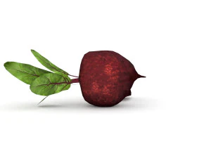 beetroot 3D Model