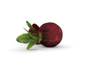 beetroot 3D-Modell