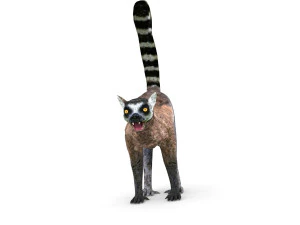 l&ecirc;mure Modelo 3D