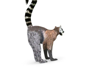 l&ecirc;mure Modelo 3D